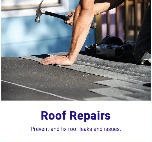 Services - Roof Repairs Roof Repairs graphic